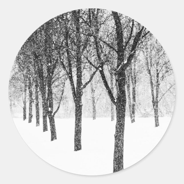 Adesivo Enquanto eu lado com árvores (Frente)