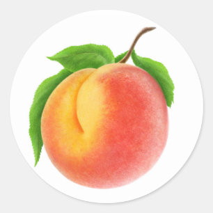 Adesivo Ensine um galho