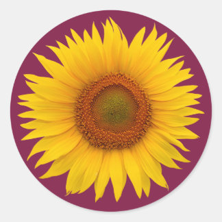 Adesivo Envelope da Flor Amarelo-Sunfloral Borgonha