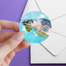 Envelope de Tartaruga Marítima de Cores Aquáticas