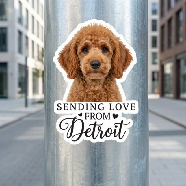 Adesivo Enviando Amor de Detroit (Peel, Stick, and Show Some Love.)