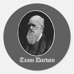 Adesivo Equipe Darwin