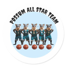 Equipe de basquete de Possum All Star