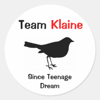 Adesivo Equipe Klaine