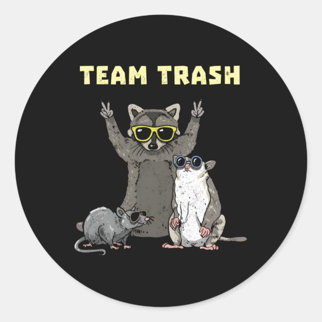 Adesivo Equipe Trash Ogambm Raccoon Animais de Rato Gelado (Frente)
