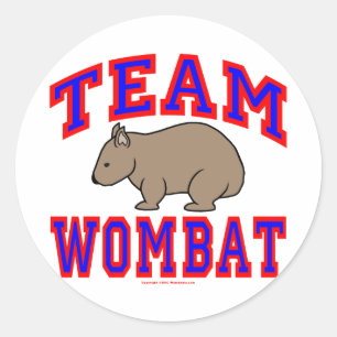 Adesivo Equipe Wombat VI