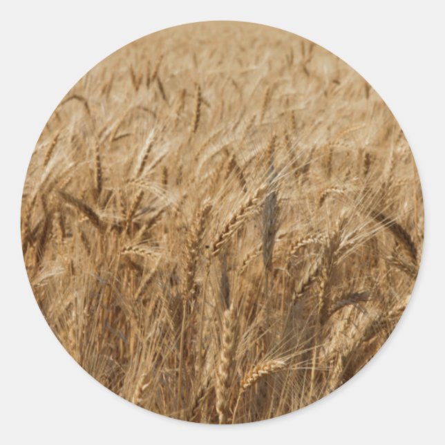 Adesivo Erick, Oklahoma Rota 66 (Frente)