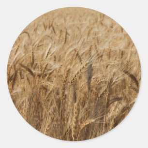 Adesivo Erick, rota 66 de Oklahoma