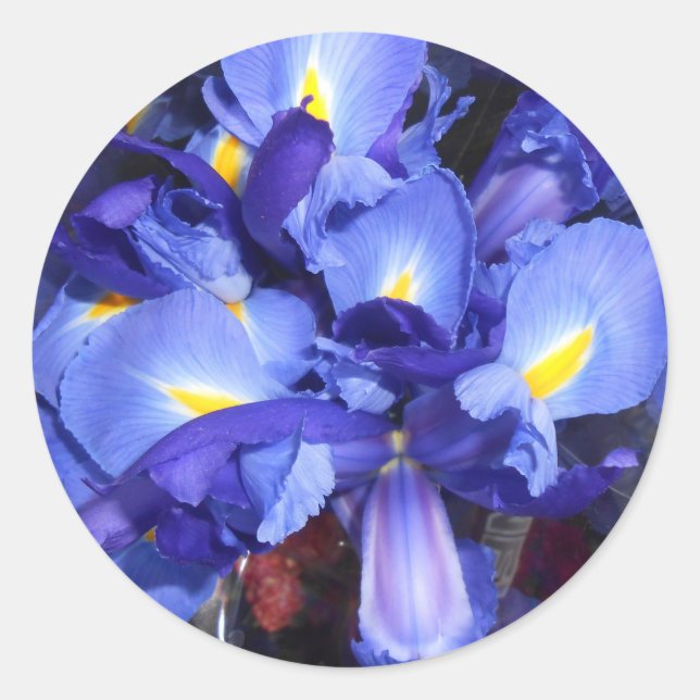 Adesivo Ermengarde (Frente)