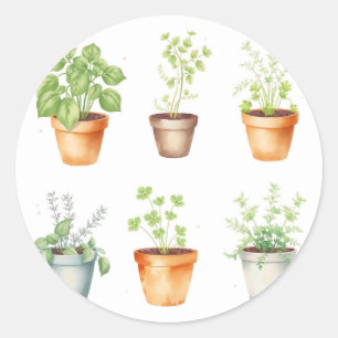 Adesivo Ervas em vaso aquarela em fundo creme