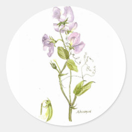 Adesivo ervilha doce