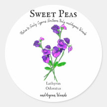 Ervilhas Roxas Flores Arte com Texto