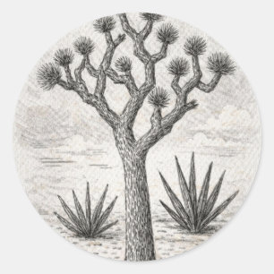 Adesivo esboço da árvore de joshua   arte de esboço do des