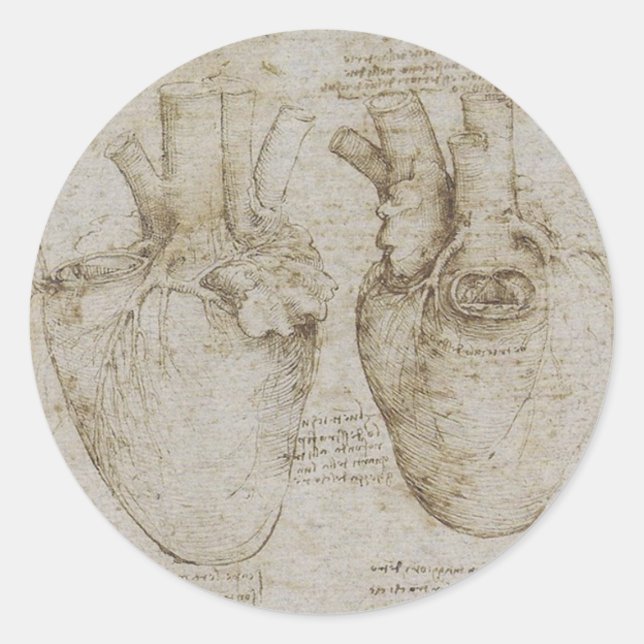 Adesivo Esboços de Anatomia do Coração Humano de Da Vinci (Frente)