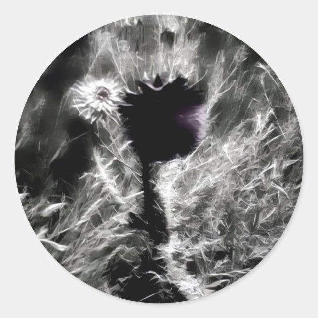 Adesivo Escolha-me (Frente)