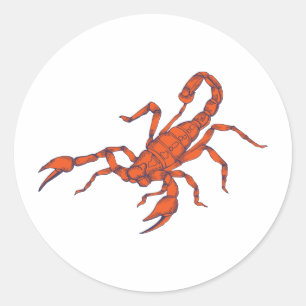 Adesivo Escorpião ~ Insetar Scorpio Scorpions