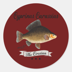 Adesivo Espécie De Peixes De Carpa Cruciana