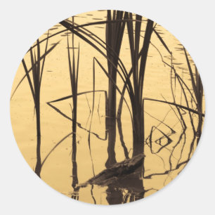 Adesivo espelho é mentiroso