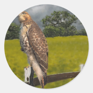 Adesivo Esperando pela Tempestade - Falcão da cauda vermel
