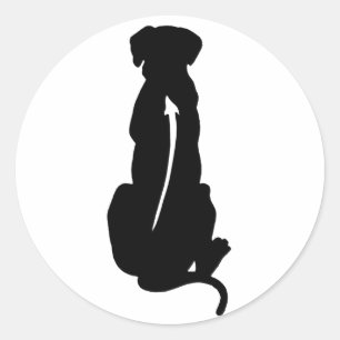 Adesivo Espinha da raça do cão de Rhodesian Ridgeback