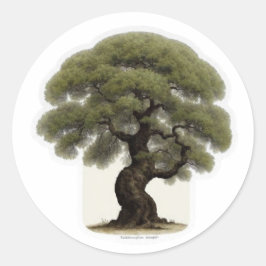 Adesivo Espírito da Árvore Antiga de Ferro Sticker - Wayan
