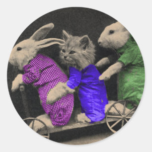 Adesivo Esportes extremos