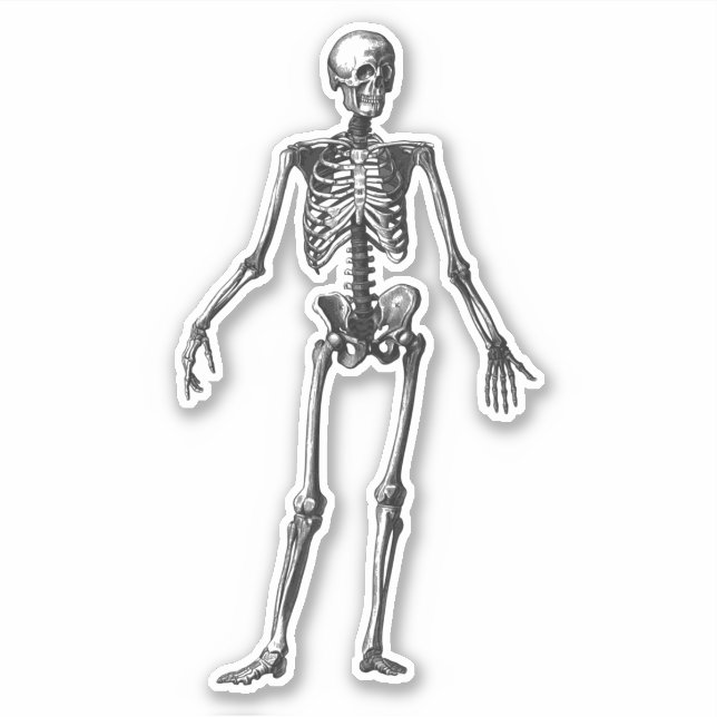 Adesivo Esqueleto (Frente)