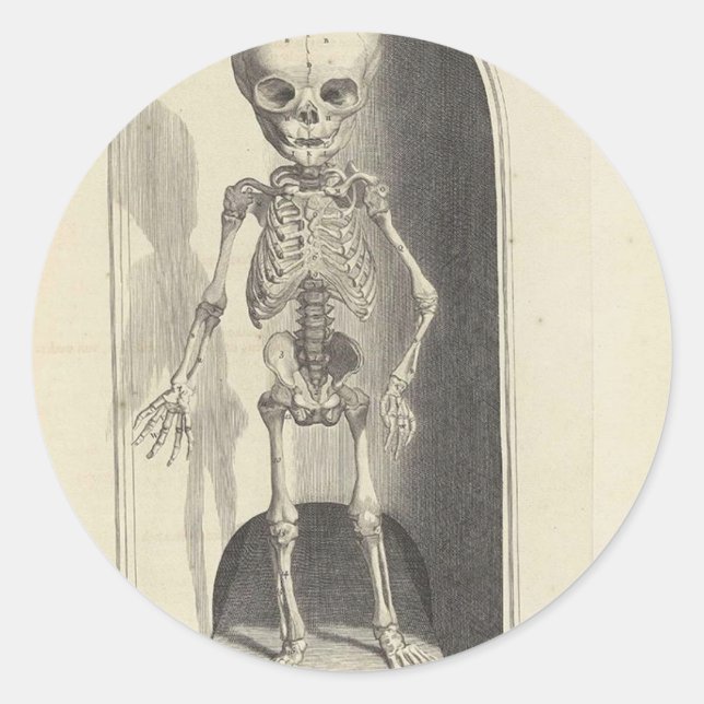 Adesivo Esqueleto infantil (Frente)