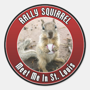 Adesivo Esquilo da reunião - Louis, Missouri