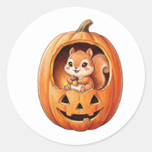 Esquilo Fofo dentro da Abóbora de Halloween Jack o