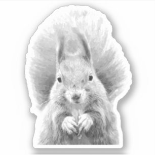 Adesivo Esquilo preto e branco