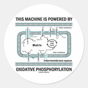 Adesivo Esta máquina psta pela fosforilação oxidativo