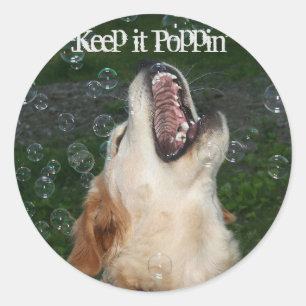 Adesivo Estalo da bolha do golden retriever