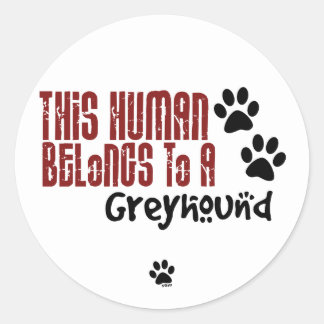 Adesivo Este Humano Pertence a um Greyhound