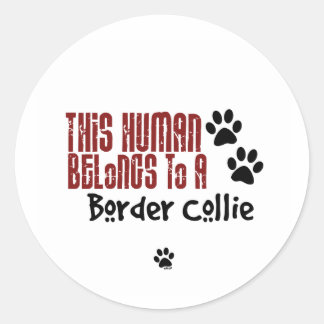 Adesivo Este Humano Pertence a uma Collie Fronteiriça