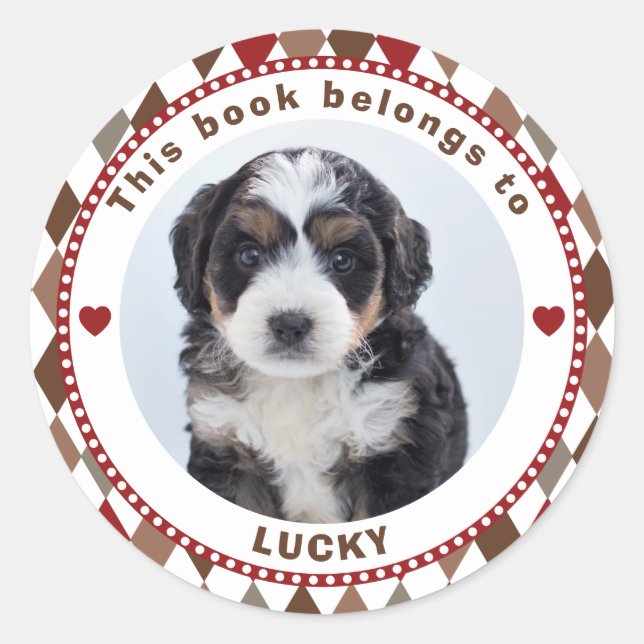 Adesivo Este Livro Pertence A Crianças Personalizadas Nome (Frente)