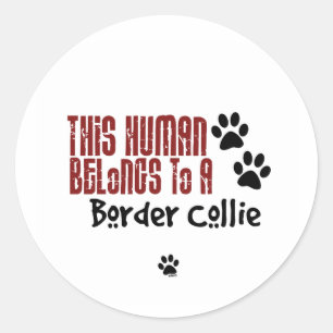 Adesivo Este ser humano pertence a border collie