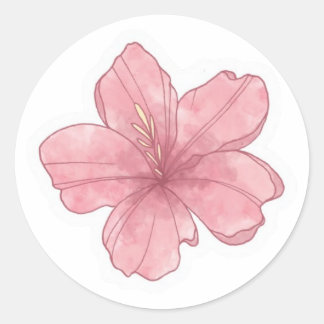 Adesivo estética de verão