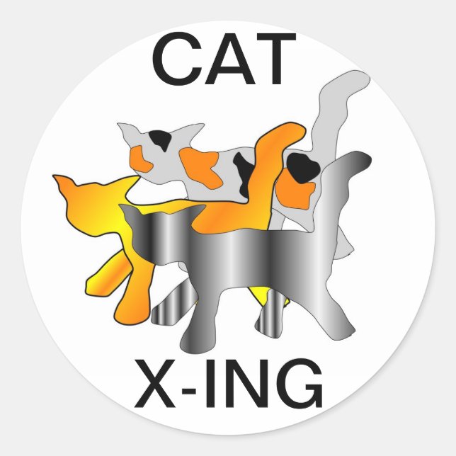ADESIVO ESTICADORES CAT X ING (Frente)