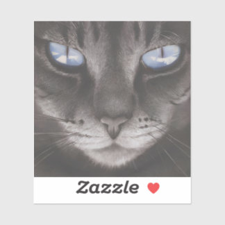 Adesivo Estilo animal-6