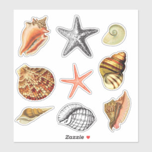 Adesivo estilo artístico do vintage dos seashells