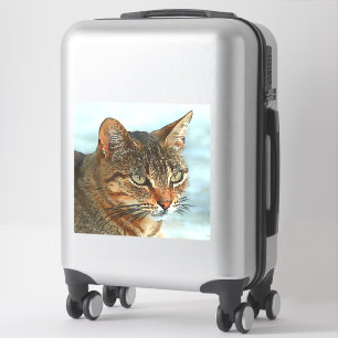 Adesivo Estilo de desenho artístico Gato RB