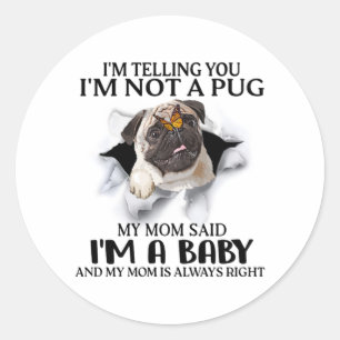 Adesivo Estou te dizendo que não sou um Pug. Sou um Bebê P