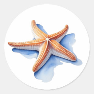 Adesivo Estrela do Mar e Silhueta Azul