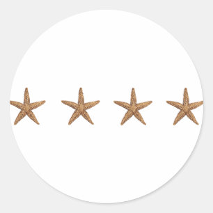 Adesivo Estrela do mar - estrela de mar do norte