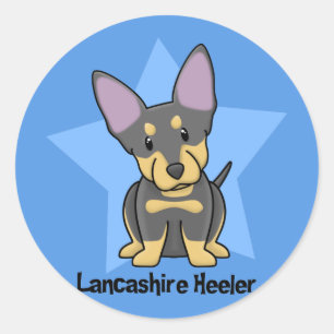 Adesivo Estrela Lancashire Heeler de Kawaii