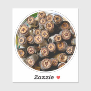 Adesivo Estrelas das Árvores de Algodão ao longo do Rio 