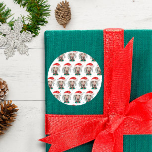 Adesivo Estrelas de Natal de Cachorro-Weimaraner