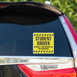 Adesivo Estudante Motorista Engraçado Adolescente Decal