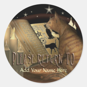 Adesivo Estudo de Lições de Gato